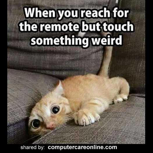 When you reach for the remote but touch something weird.