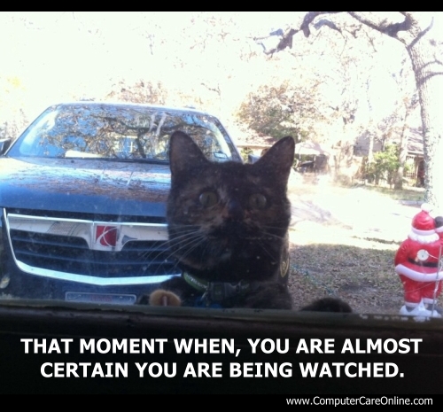 That moment when you are pretty sure, you are being watched.