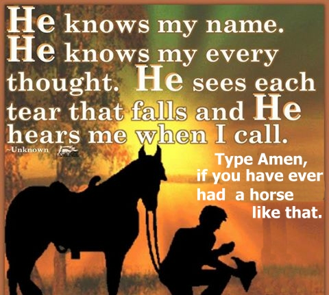 He knows my name. He knows my every thought. He hears me when I call. Type AMEN if you have ever had a horse like that.