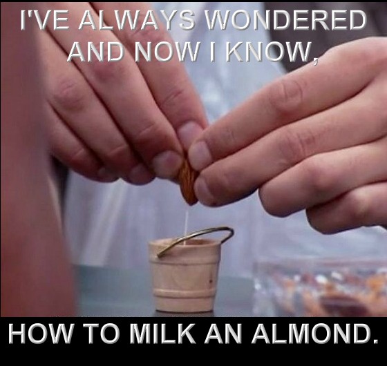 I have always wondered and now I know, how you milk an almond.