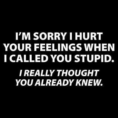 I am sorry I hurt your feelings when I called you stupid, I really thought you already knew it.