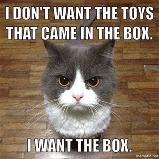 I don't want the toys that came in the box, I want the box!